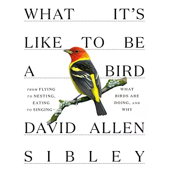 What Its Like to Be a Bird: From Flying to Nesting, Eating to Singing--What Birds Are Doing, and Why
