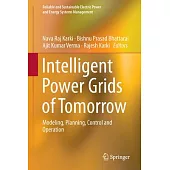 Intelligent Power Grids of Tomorrow: Modeling, Planning, Control and Operation