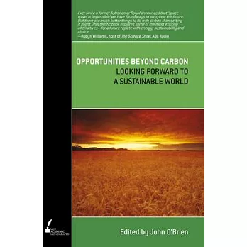 Opportunities Beyond Carbon: Looking Forward to a Sustainable World