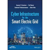 Cyber Infrastructure for the Smart Electric Grid