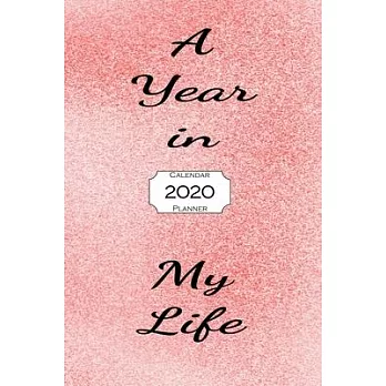 A Year In My Life 2020 Calendar Planner: Jan - Dec 2020 1 Year Daily Weekly Monthly Calendar Planner