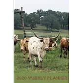 2020 Weekly Planner: Compact 6
