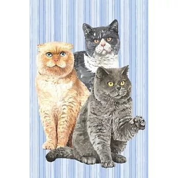 The Cat Lover Collection: Housecat Trio Watercolor No. 2 (Blank Lined Journal)