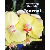 Flowering Orchids Journal: Greenhouse Flowers for Cold Climate Gardening