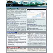Salesforce: A Quickstudy Laminated Reference Guide