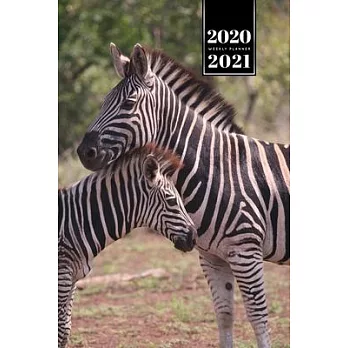 Zabra Safari Africa Savannah Week Planner Weekly Organizer Calendar 2020 / 2021 - Parent and Child: Cute Wildlife Animal Pet Bullet Journal Notebook D