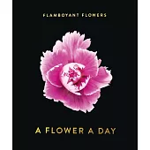 Flamboyant Flowers 2021