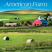 American Farm 2021 Square