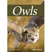 Owls Playing Cards