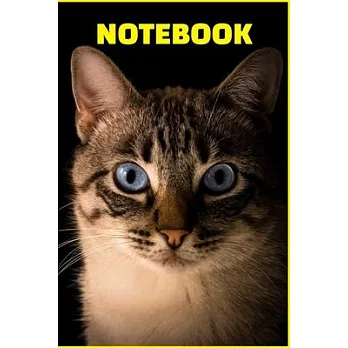 Notebook: Amazing cat with black background 110page (6＂x9＂): Special Occasions -Christmas Gifts for all ages -Student’’s gifts-St