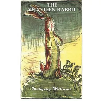 The Velveteen Rabbit: by Margery Williams Board Coloring Book Original First Edition