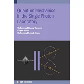 Quantum Mechanics in the Single Photon Laboratory
