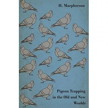 Pigeon Trapping in the Old and New Worlds