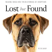 Lost But Found