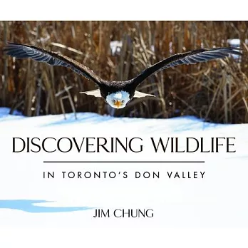 Discovering Wildlife in Toronto’’s Don Valley