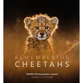 Remembering Cheetahs
