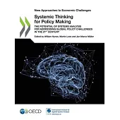 Systemic Thinking for Policy Making