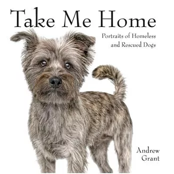 Take Me Home: Rescue Dogs