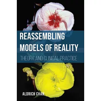 Reassembling Models of Reality: Theory and Clinical Practice