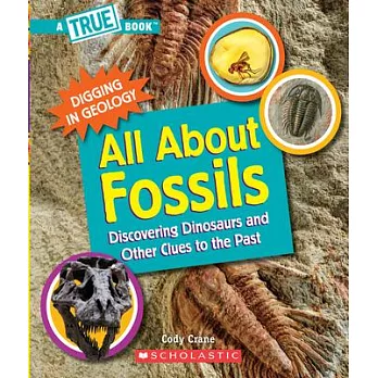 Fossils (a True Book: Digging in Geology)
