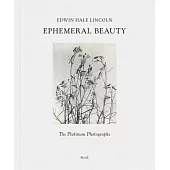 Edwin Hale Lincoln: Ephemeral Beauty