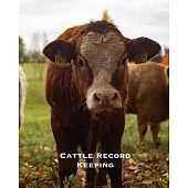 Cattle Record Keeping: Beef Calving Log, Farm, Track Livestock Breeding, Calves Journal, Immunizations & Vaccines Book, Cow Income & Expense