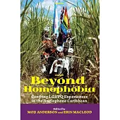 Beyond Homophobia: Centring Lgbtq Experiences in the Anglophone Caribbean