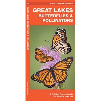 Great Lakes Butterflies & Pollinators: A Folding Pocket Guide to Familiar Species