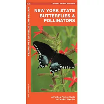 New York State Butterflies & Pollinators: A Folding Pocket Guide to Familiar Species