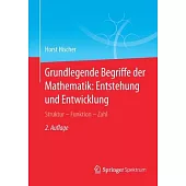 Grundlegende Begriffe Der Mathematik: Entstehung Und Entwicklung: Struktur - Funktion - Zahl