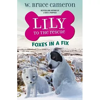 Lily to the Rescue: Foxes in a Fix