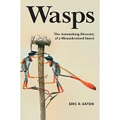 Wasps: The Astonishing Diversity of a Misunderstood Insect