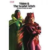 Vision & the Scarlet Witch - The Saga of Wanda and Vision Tpb