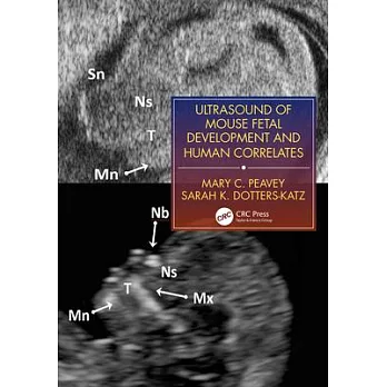 Ultrasound of Murine Fetal Development with Human Correlation
