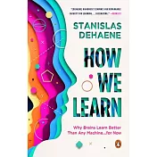 How We Learn: Why Brains Learn Better Than Any Machine . . . for Now