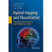 Hybrid Imaging and Visualization: Employing Machine Learning with Mathematica - Python