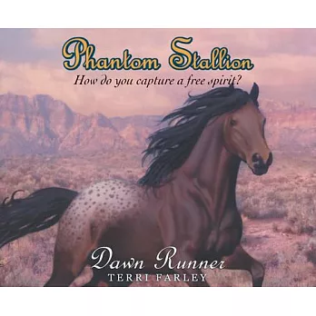 Phantom Stallion, Volume 21: Dawn Runner