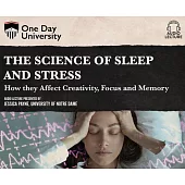 The Science of Sleep and Stress: How They Affect Creativity, Focus, and Memory