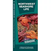 Northwest Seashore Life: A Waterproof Folding Guide to Familiar Animals & Plants