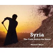 Syria: The Calm Before the Storm