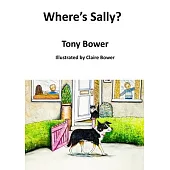 Where’’s Sally?: A Children’’s Free Verse Novel