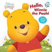 Disney Baby Hello, Winnie the Pooh!  觸摸遊戲書