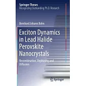 Exciton Dynamics in Lead Halide Perovskite Nanocrystals: Recombination, Dephasing and Diffusion