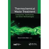 Thermochemical Waste Treatment: Combustion, Gasification, and Other Methodologies
