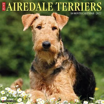 Just Airedale Terriers 2022 Wall Calendar