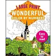Large Print Color by Numbers Brilliant