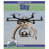 Robots in the Sky
