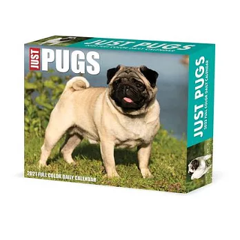 Pugs 2022 Box Calendar - Dog Breed Daily Desktop