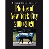 Bernie Goldschmidt Photos of New York City 2000-2020