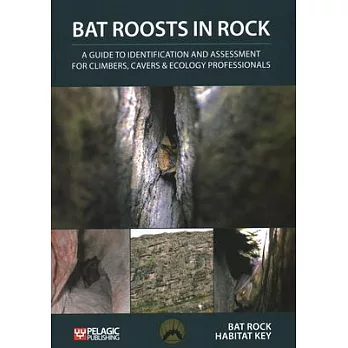 Bat Roosts in Rock